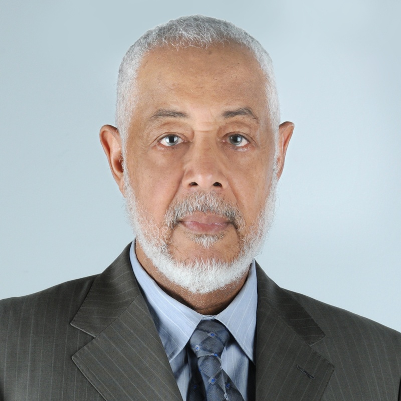 Ali Al Harthi
